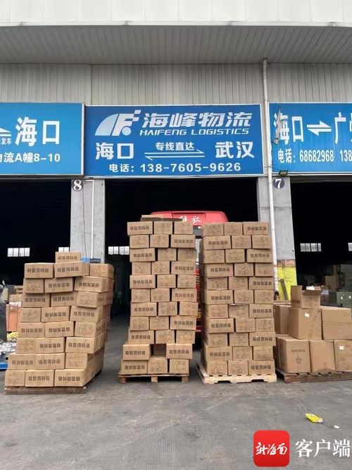 違規運輸一次性不可降解塑料制品 海口一物流公司被罰款72000元