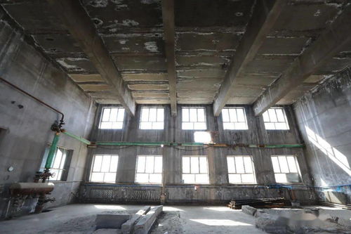 磴口原旭日蓯蓉酒業及原源農農副產品購銷公司廠房及土地使用權整體拍賣